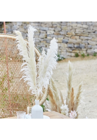 Ginger Ray PAM-543 Pampas Grass White ()