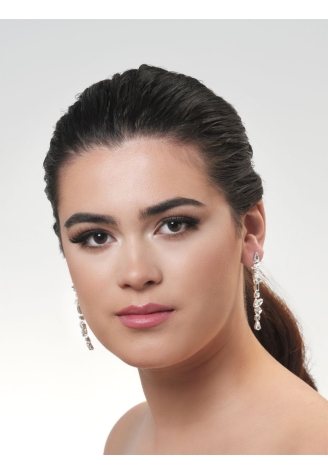Poirier NC-1333 Earrings Silver ()