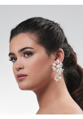 Poirier NC-1325 Earrings Silver ()