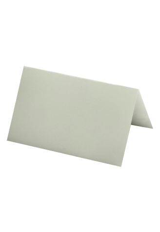 Ginger Ray SW-844 Sage Wedding Place Cards