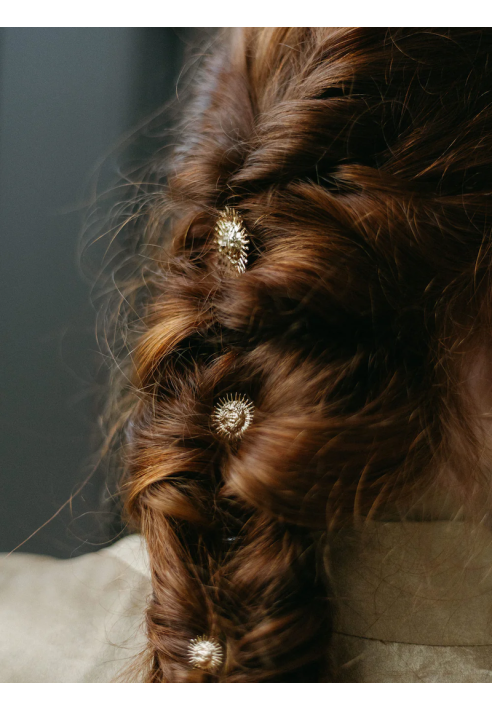 Lizeron Montespan Hairpins Gold ()