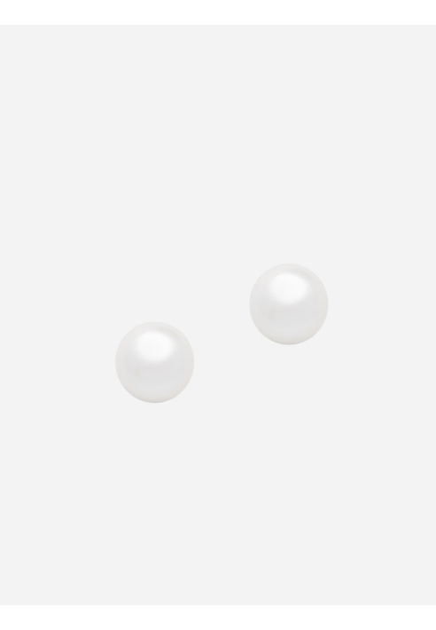 Abrazi O1-6-650-SKT Earrings ()