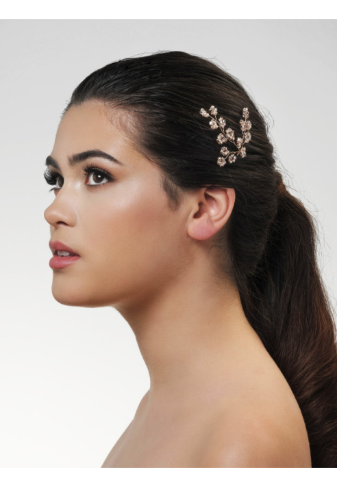 Poirier BB-274 Hairpin ()