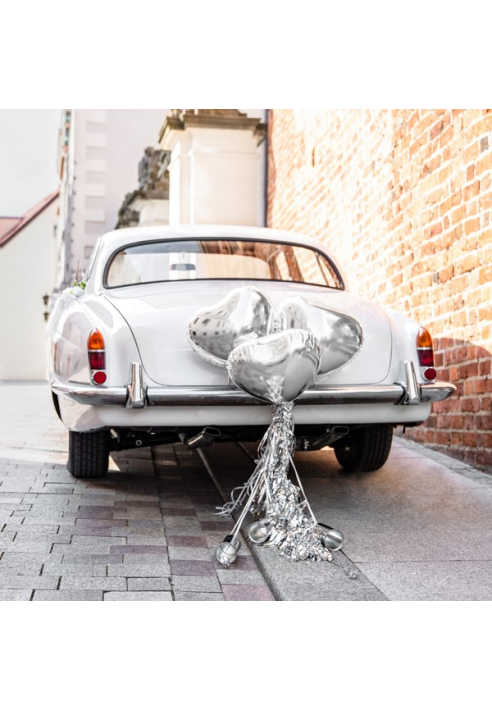 Car Decoration Kit Silver ()