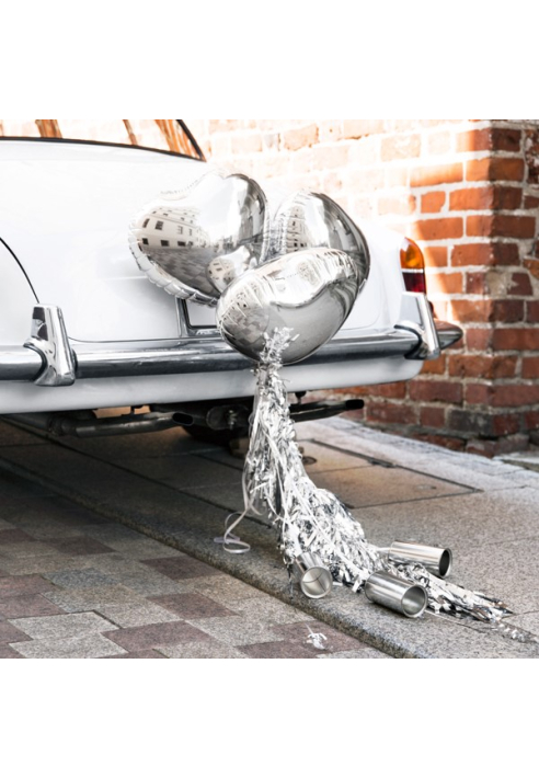 Car Decoration Kit Silver