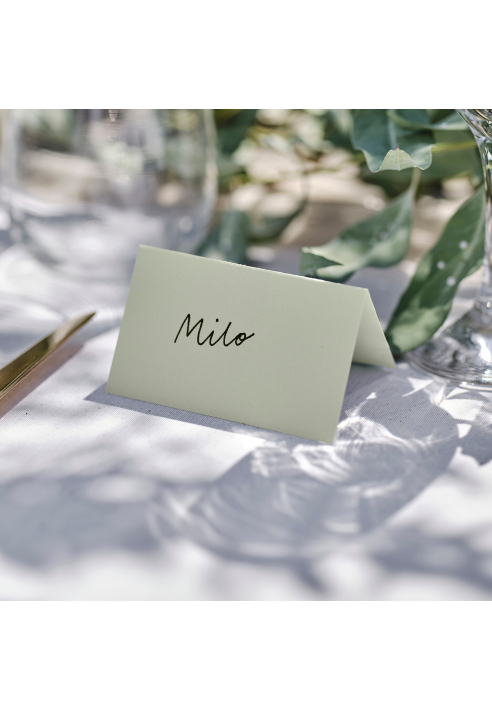 Ginger Ray SW-844 Sage Wedding Place Cards ()