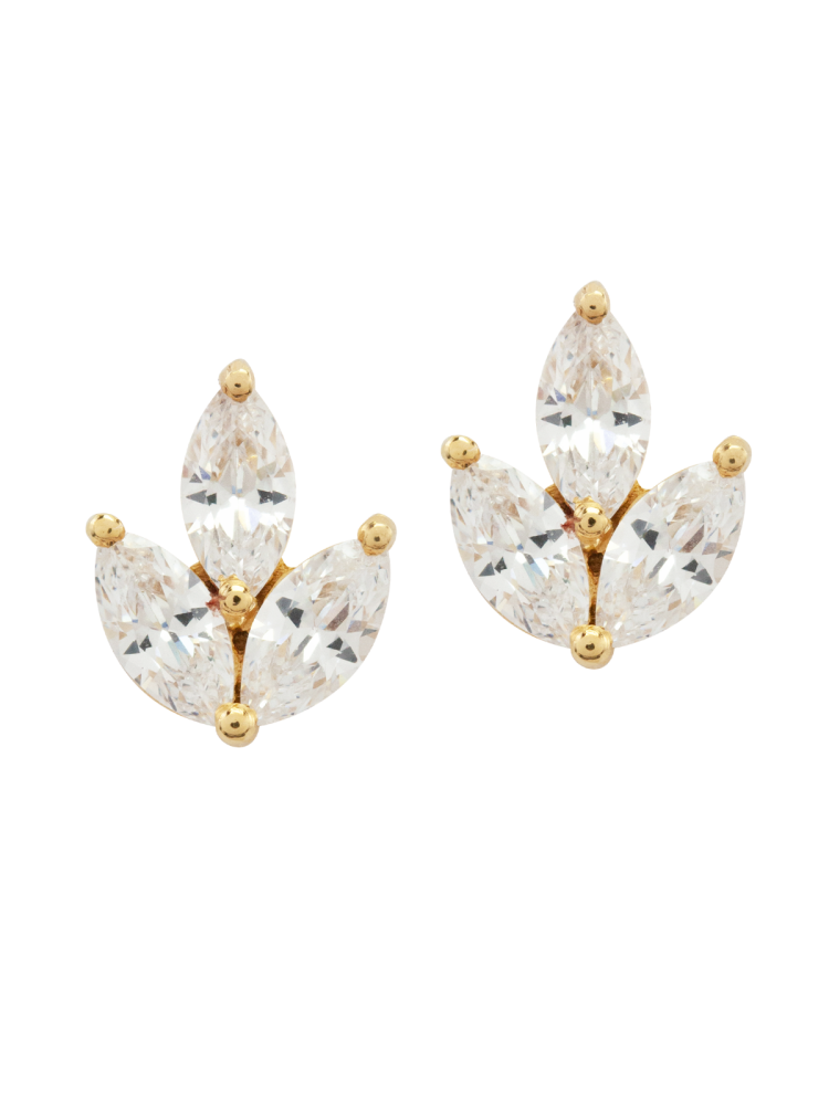 Juvelan Simply Wonderful Earrings main product photo