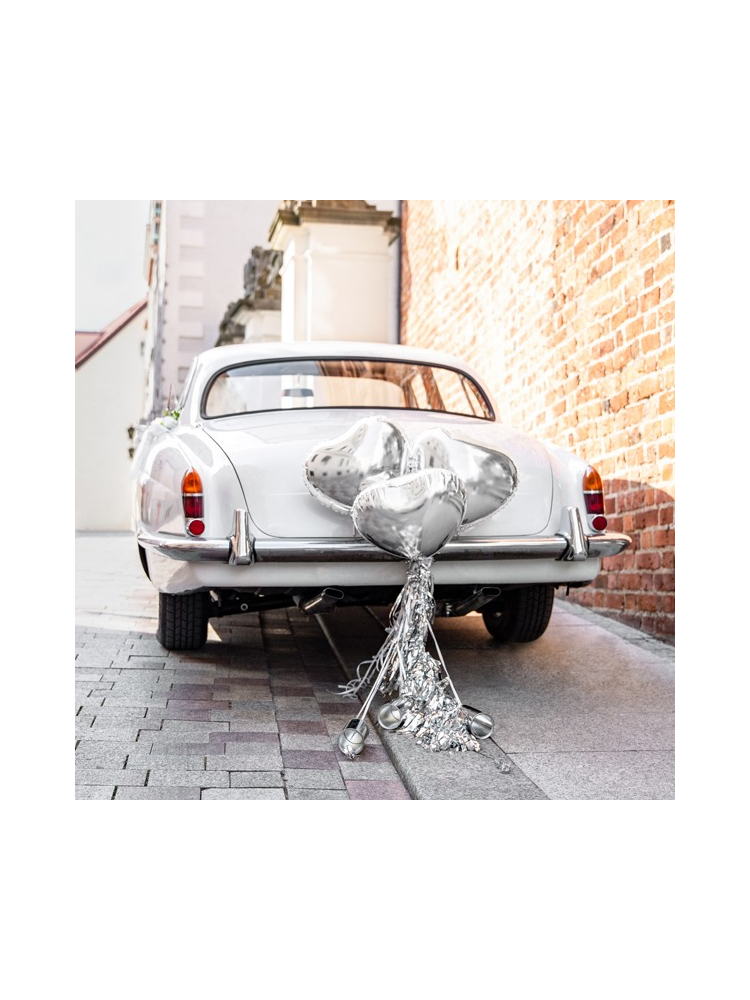 Car Decoration Kit Silver main product photo